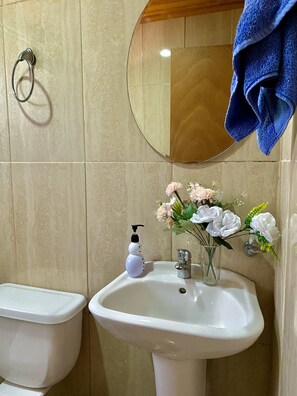 Serviettes fournies, savon, papier toilette