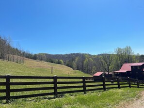 Property grounds - Lavender Gap Farm. True Log cabin on 12 acre flower farm. Near AT / Nat Forest (Suches)
