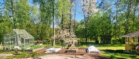 Uma estufa, uma área coberta e um pequeno galpão em um jardim.