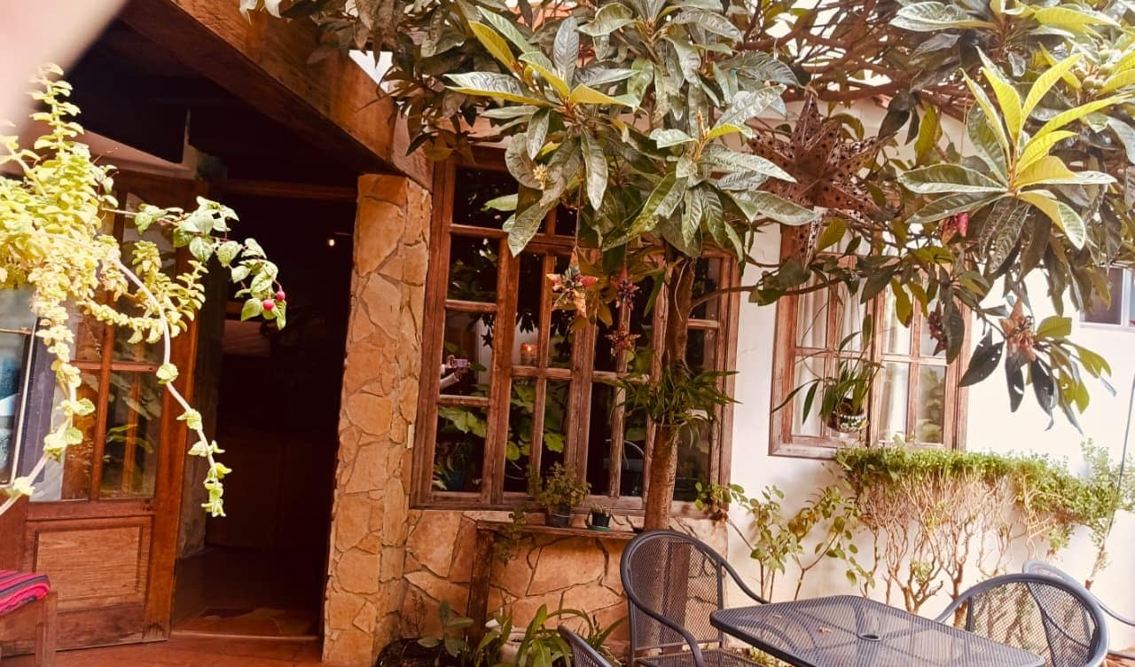 A stone building with a wooden door and windows, a chair, and various plants.