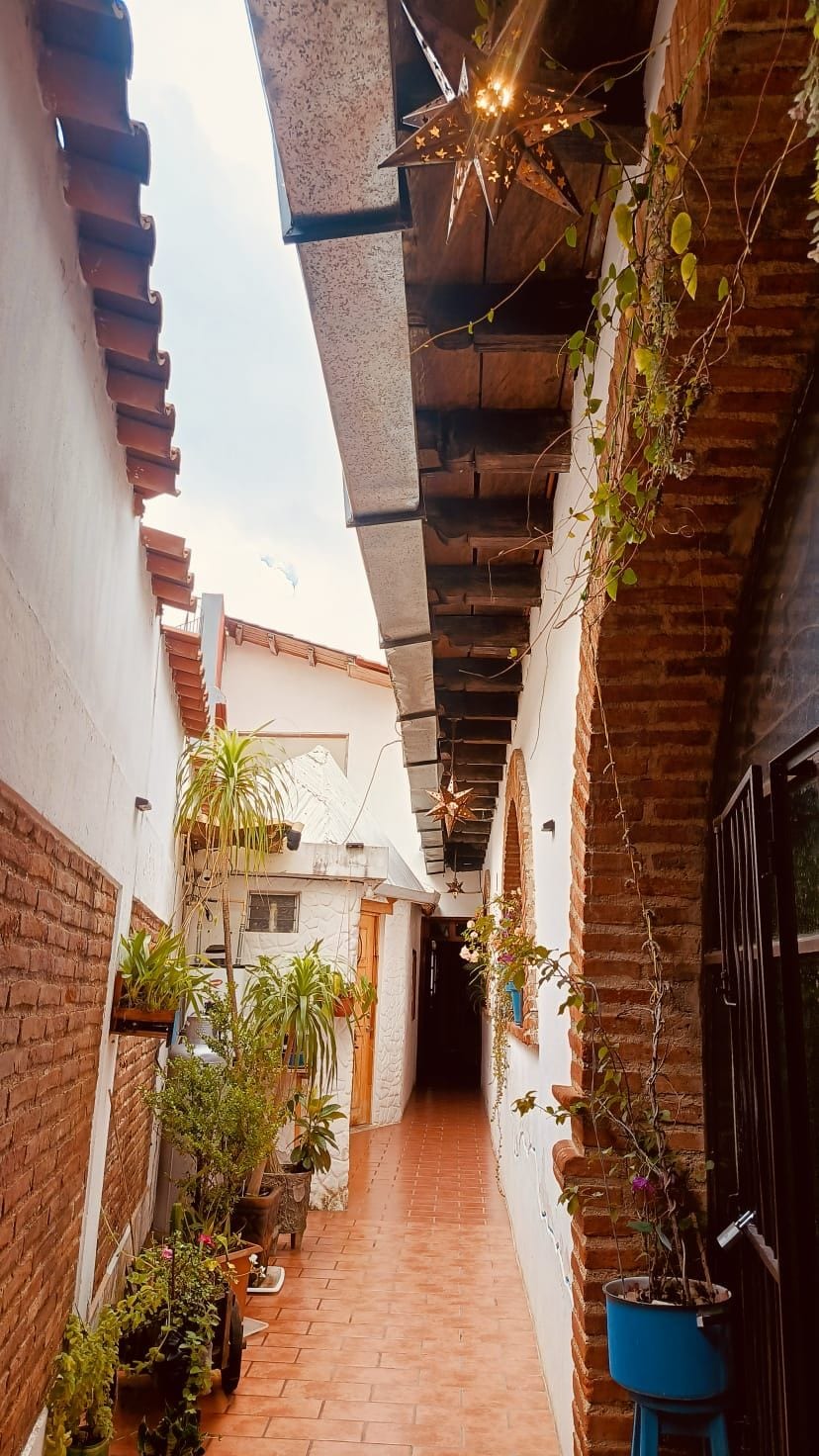 A narrow alleyway with brick walls, potted plants, and a star-shaped light fixture.