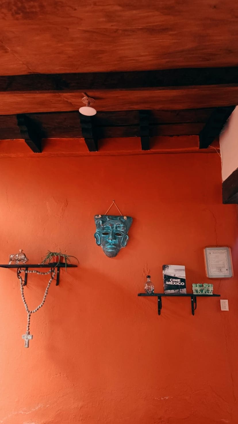 A room with a wooden ceiling, a red wall, a shelf with a book titled 'Cine Mexico,' and a small plant.