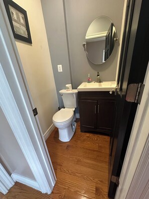 Hair dryer, towels, soap, shampoo - Charming 4-bedroom house in lovely Scranton perfect for families (Scranton)