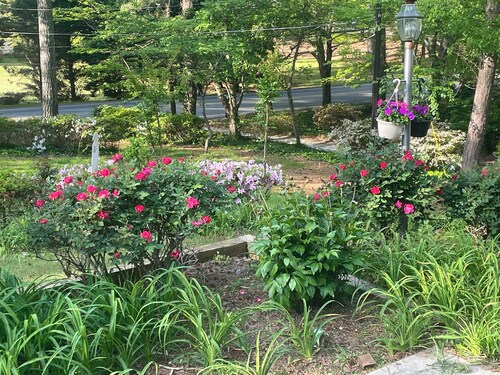 Pleasant 1-bedroom apartment with AC in vibrant high end neighborhood.