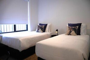 Fer et planche Ă repasser, accĂšs Internet, draps fournis