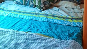 A bed with a blue and white patterned bedspread, two pillows with leaf designs, and an orange headboard with two metal handles. - Cosy caravan in rural setting 5 minutes walk from gorgeous beach (Whitianga)