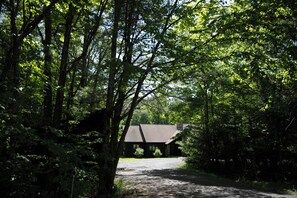 Eine Holzhütte, umgeben von dichtem Wald, mit einem Kiesweg, der darauf führt.