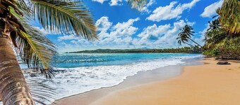 Surfside Mansion | Luxury Retreat with Pool