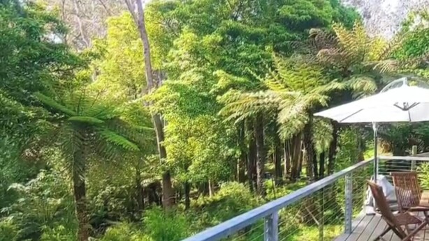 A deck with a table and chairs, overlooking a dense forest. - Caravan and house set up for mountain biking (Warburton)