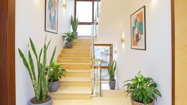 A staircase with potted plants, framed artwork, and wall sconces. - Oriva Tulips Inn and Suites - Nr. Majestic (Bengaluru)