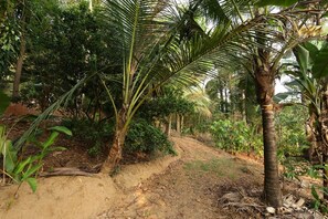 Àrea exterior de l'allotjament