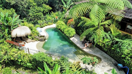Pool. Jungle House with Stunning views and a Natural pool!