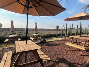 Outdoor dining - Natural Romance in Glamping Rincón de Lavanda (Texcoco de Mora)