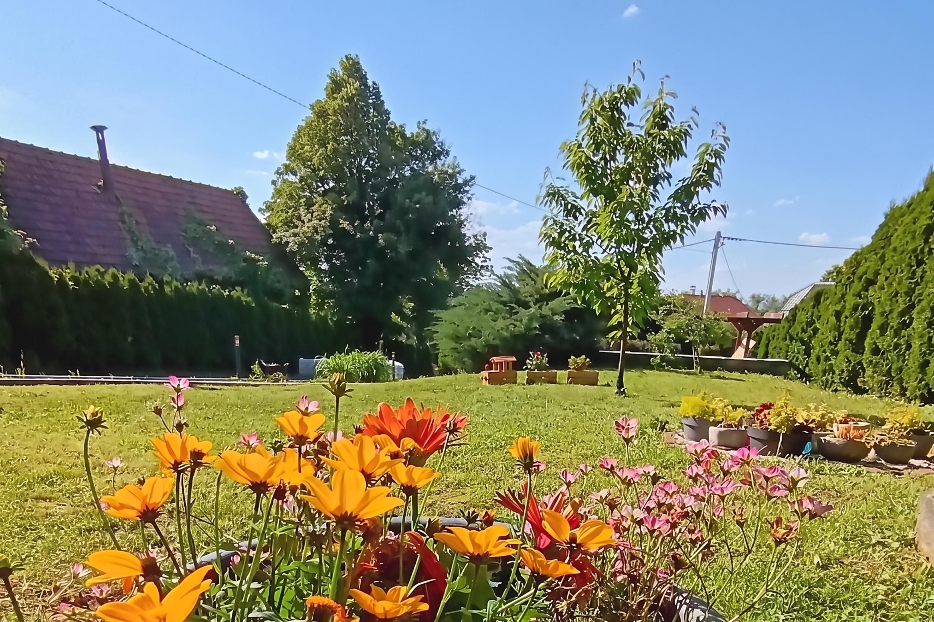 A garden with various flowers, trees, and a building with a red roof.