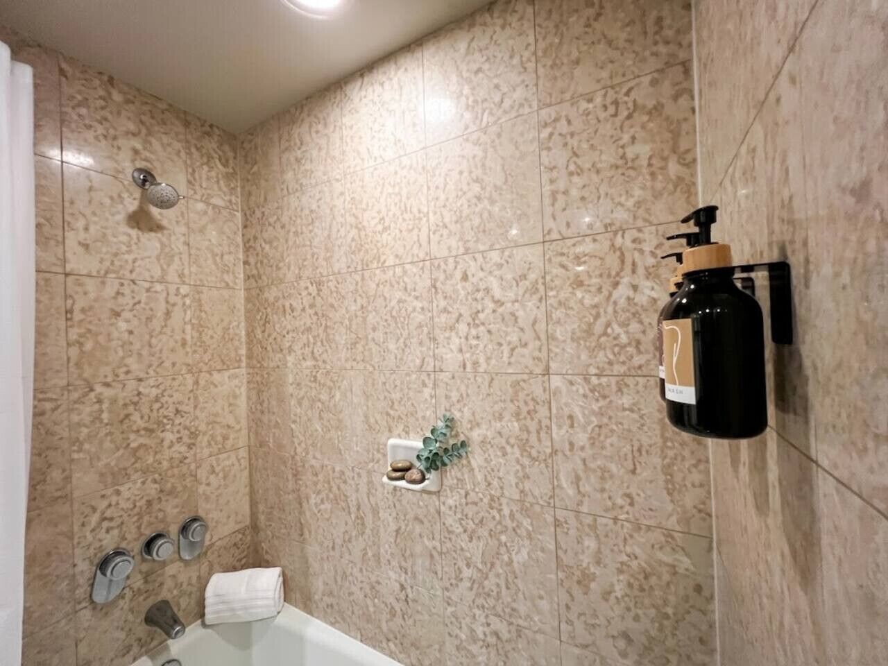 Ein Badezimmer mit einer Badewanne, einem wandmontierten Seifenspender und einer kleinen Pflanze an der Wand.