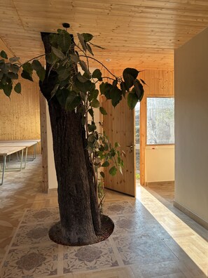 Interior - Bundela Woods Cottage and Restaurant (Rajnagar)