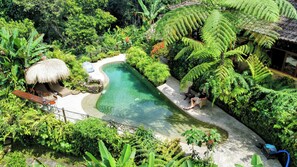 Un jardín exuberante con una piscina, una cabaña con techo de paja y un comedor con mobiliario exterior.