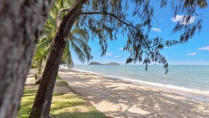 A beach with a palm tree and a clear view of the ocean. - Oceanview Family Retreat w/ Private Pool & Fast WiFi (Palm Cove)