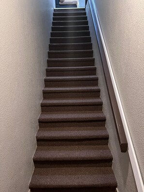 Una escalera con alfombra y barandilla a la derecha.