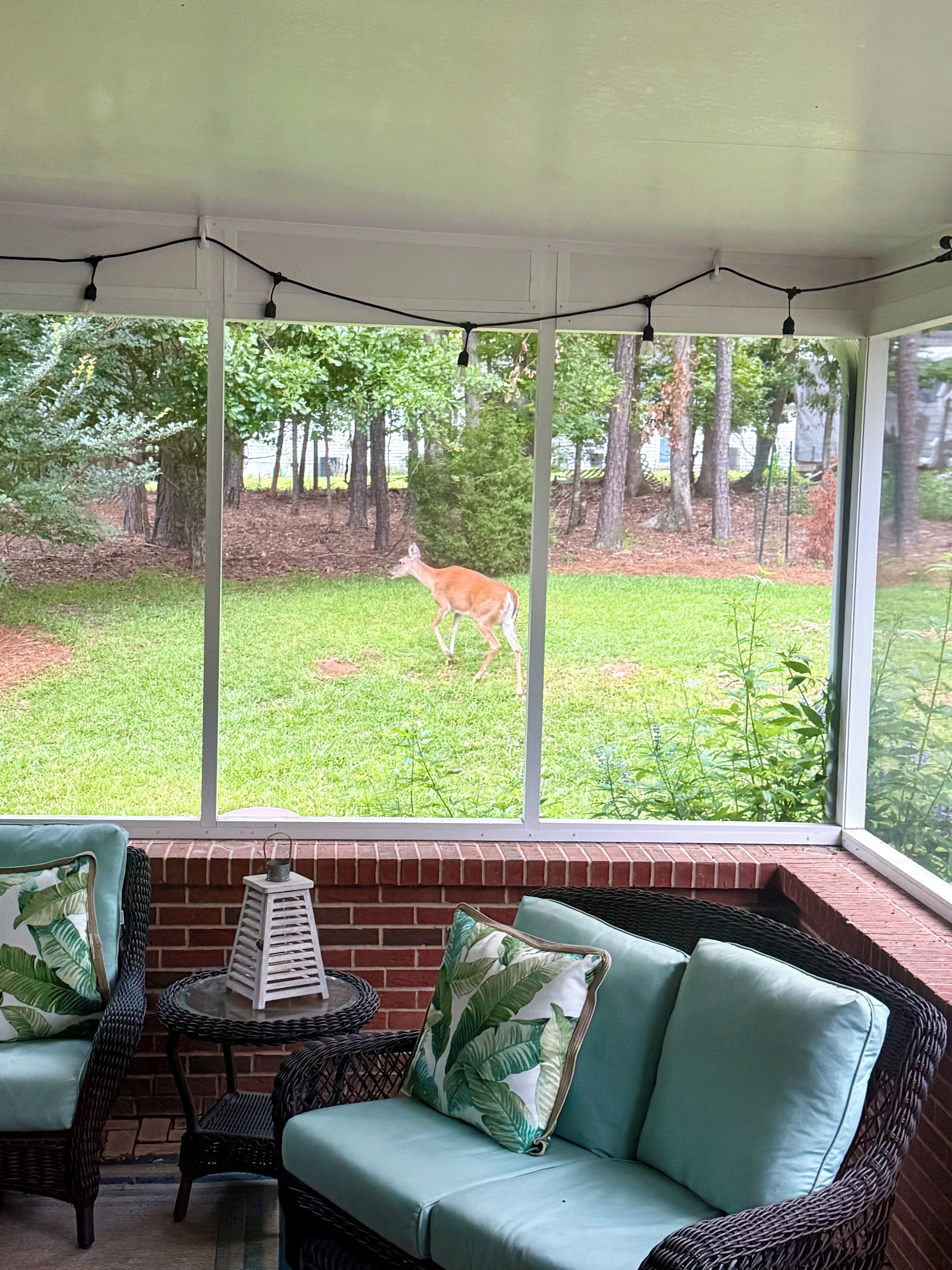 A covered patio with wicker furniture, a brick wall, and a view of a deer in the yard.