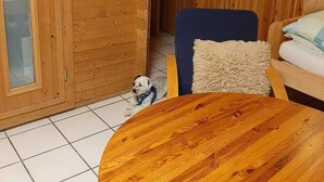 Een houten interieur met een ronde houten tafel, een blauwe stoel en een hond.