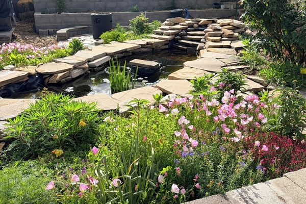 Backyards
