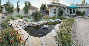 Un jardin avec un bassin, des bordures en pierre et différentes espèces de plantes.