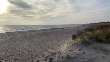 A beach with a sandy shore and sparse vegetation.