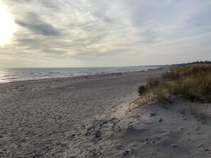 A beach with a sandy shore and sparse vegetation. - 4 Star Holiday Home in Vaeggerlose (Vaeggerlose)