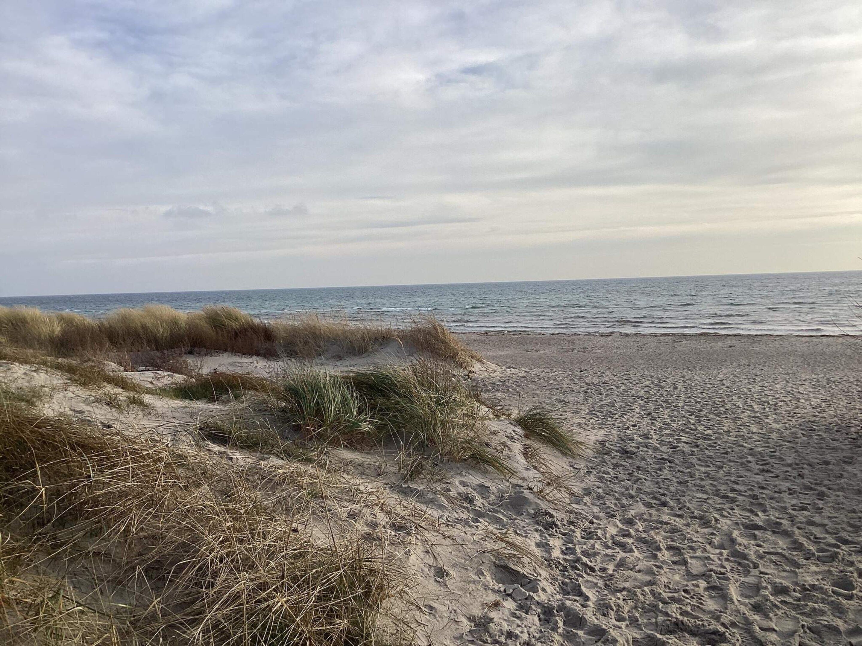 Una playa con dunas de arena y un mar tranquilo bajo un cielo nublado.