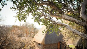Une maison de campagne en pierre, avec un toit de chaume, entourée d’une végétation aride et d’un grand arbre.