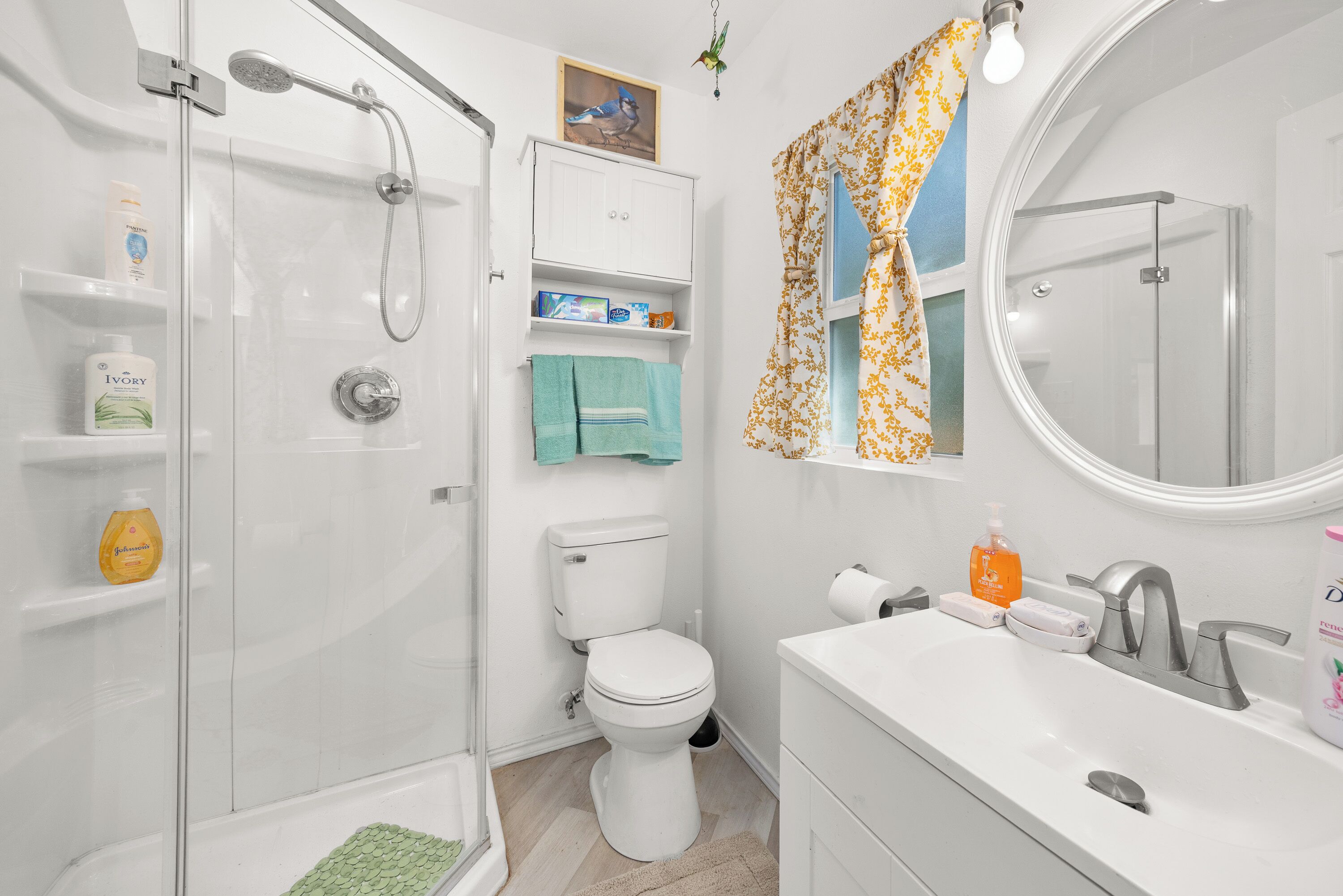 Shower, towels, toilet paper