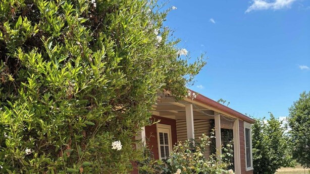 A house with a covered porch, a garden with various plants, and a clear blue sky. - "The Valley " Studio Kentucky. Set on a quiet country rd  with a divine outlook. (Kentucky)