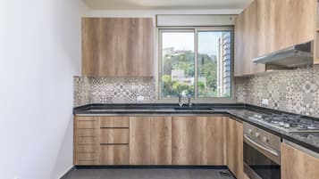 Apartment, 3 Bedrooms, Kitchen, City View | Private kitchen | Full-sized fridge, microwave, oven, stovetop