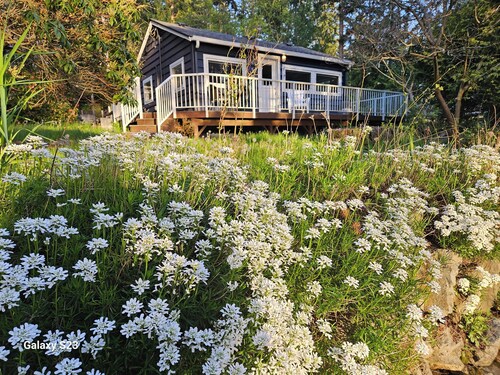 Madrona, Camano Island; Beautiful  2-bedroom cottage updated with you in mind.