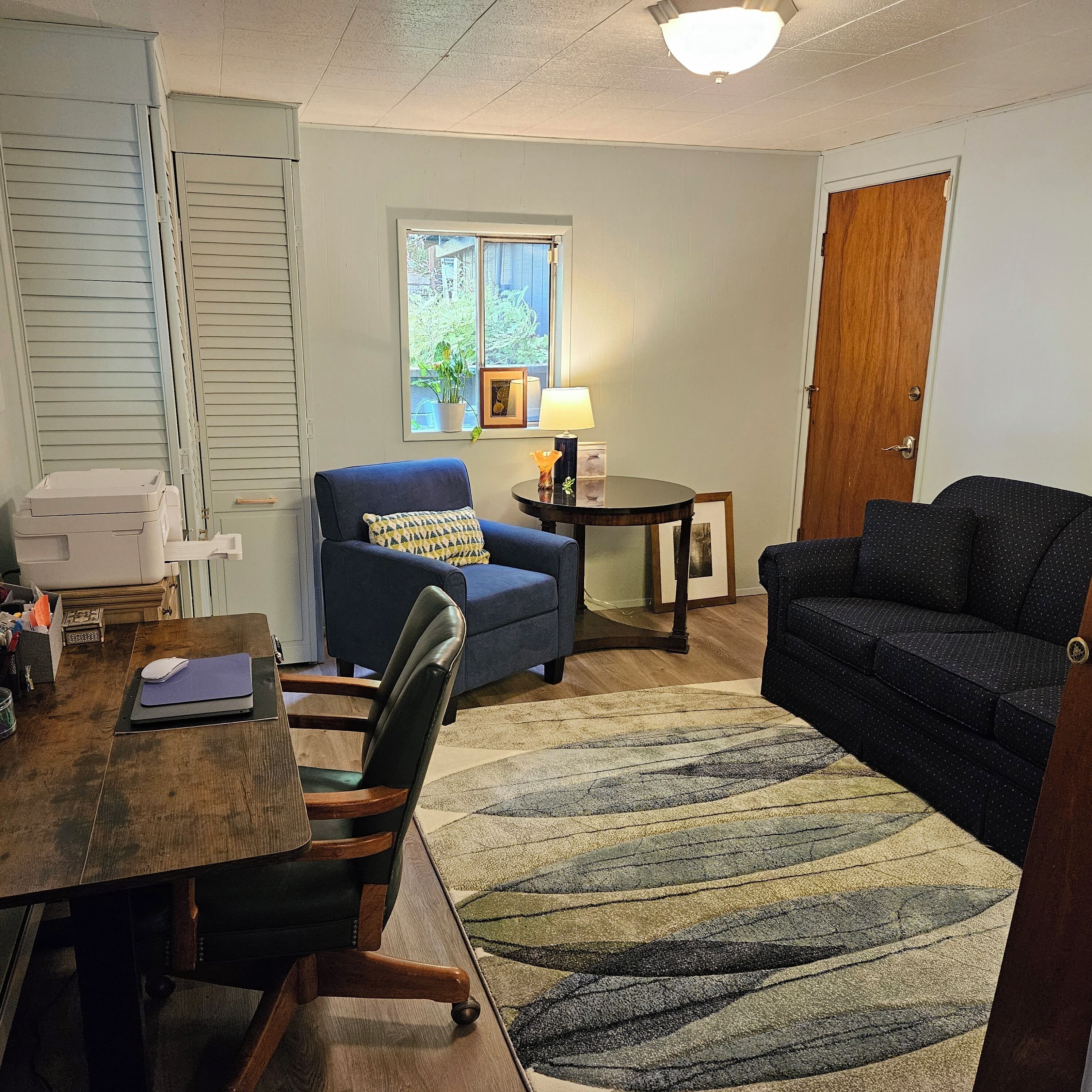 TV, fireplace, books, printers