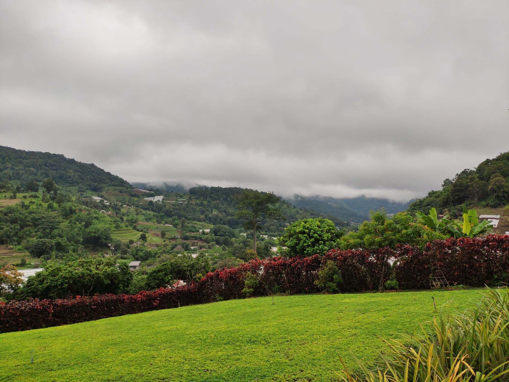 A lush green landscape with rolling hills and a river in the distance.