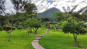 A pathway leading through a lush green park with trees and a mountain in the background. - Baanpaya pano (Mae Rim)