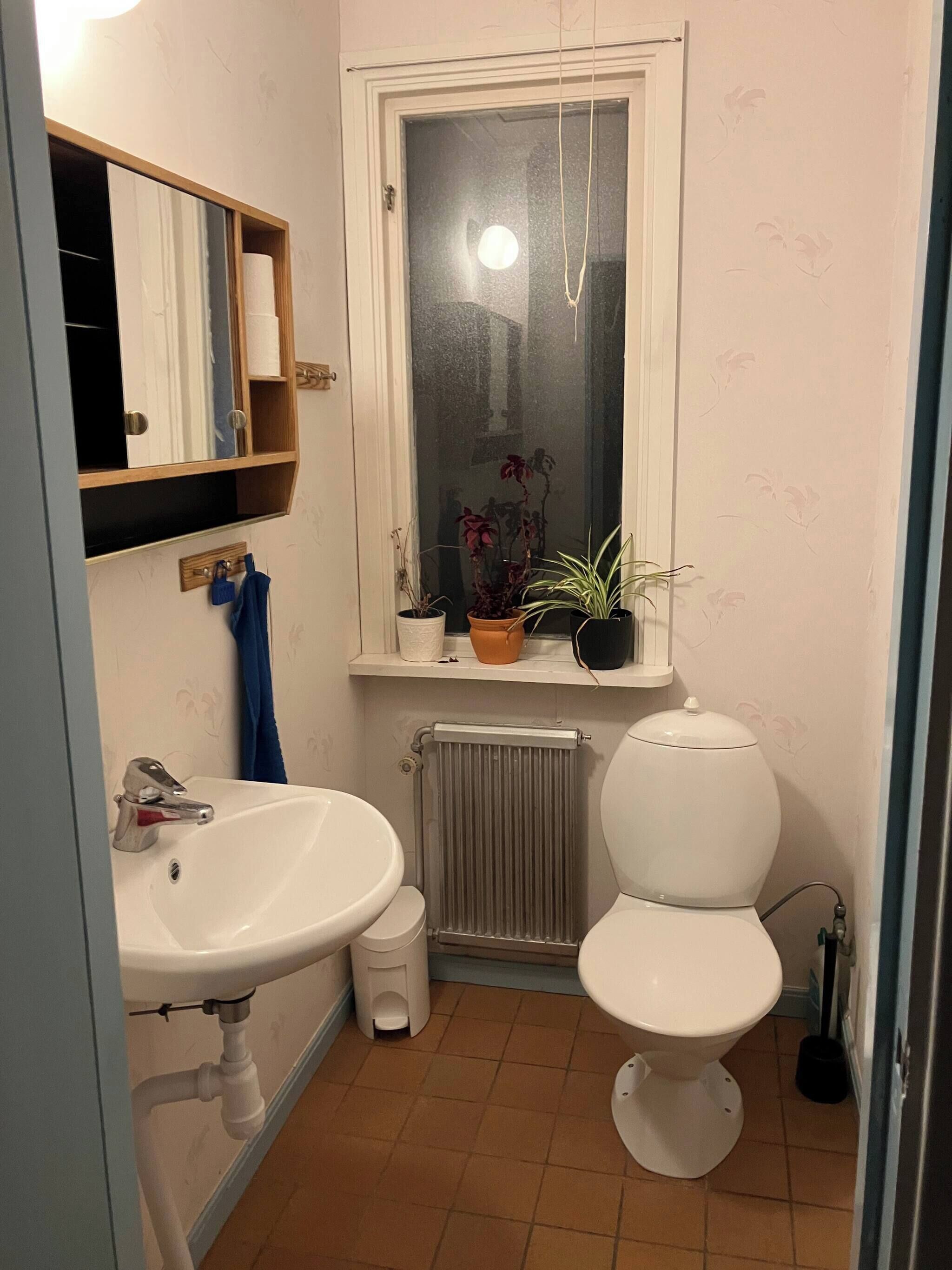 Hårføner
