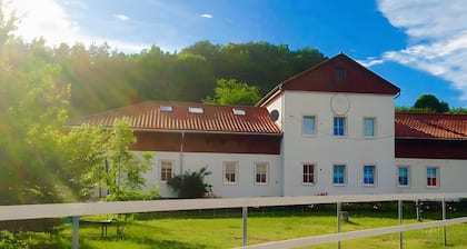 Apartment 'Herrrenhaus Gut Buchenhof' with Mountain View, Shared Terrace and Wi-Fi