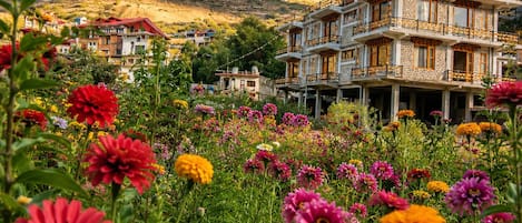 A multi-story building with balconies, surrounded by a field of colorful flowers, and mountains in the background.