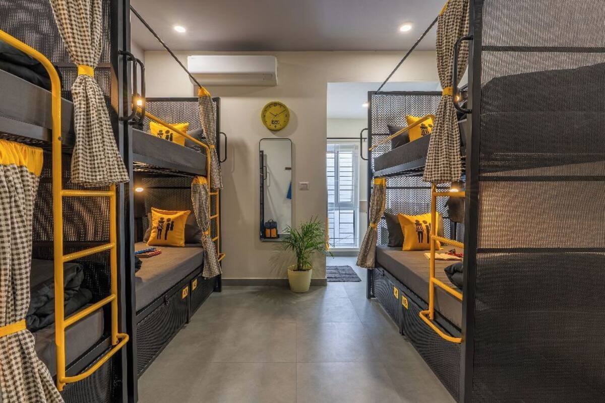 A dormitory room with bunk beds, a potted plant, and a clock on the wall.