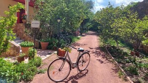 A bicycle parked on a dirt path with a reception sign, surrounded by greenery and a building with red shutters. - BELLA CISTERNA (Chios)