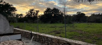 엘 페드로소의 아파르타멘토스 로스 알라모스  