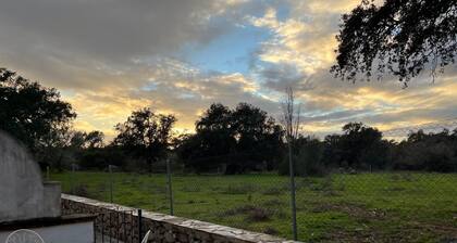 Apartamentos Los Álamos de El Pedroso