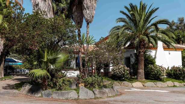 Un restaurante con terraza al aire libre, rodeado de abundante vegetación y palmeras.