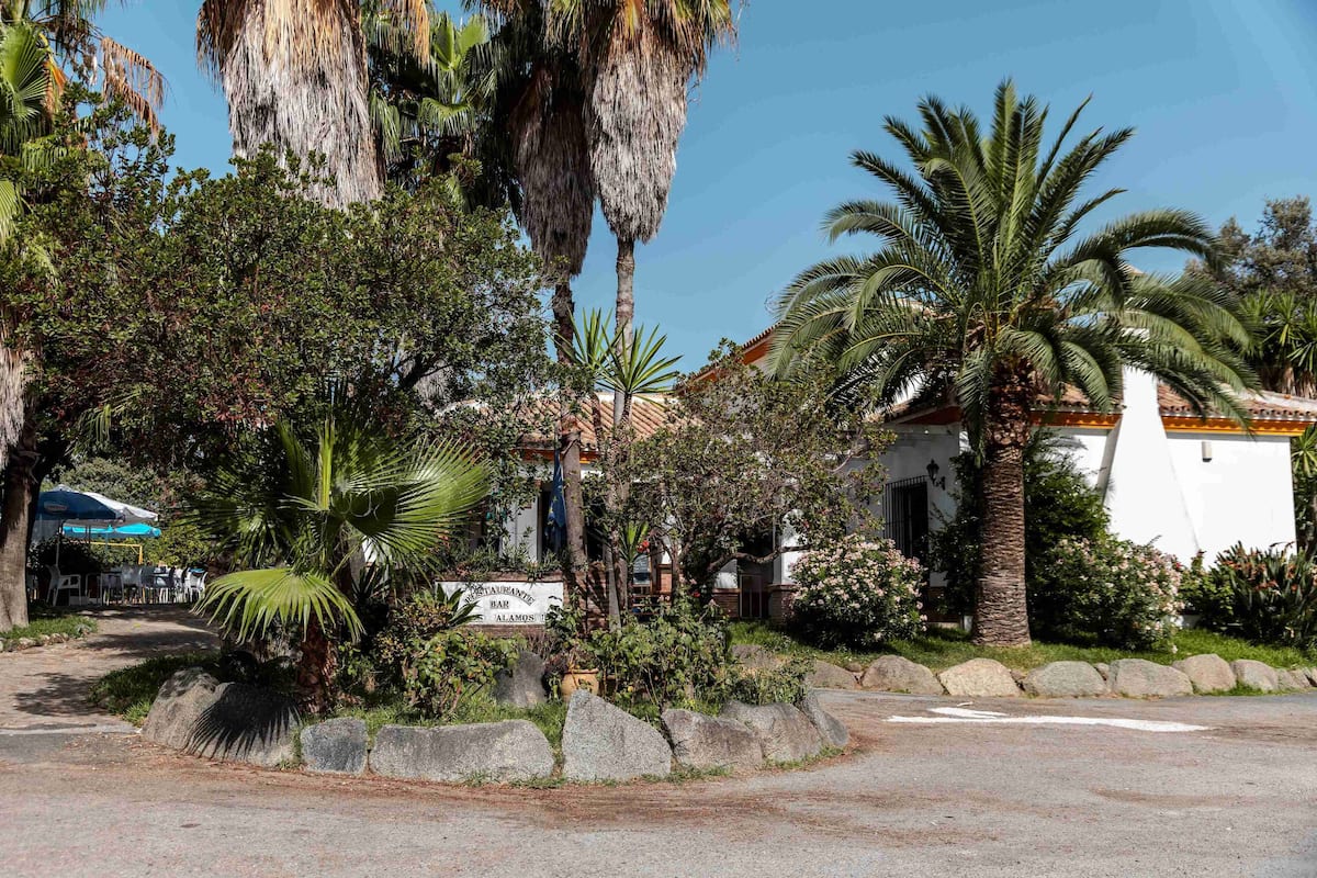 Un restaurante con terraza al aire libre, rodeado de abundante vegetación y palmeras.