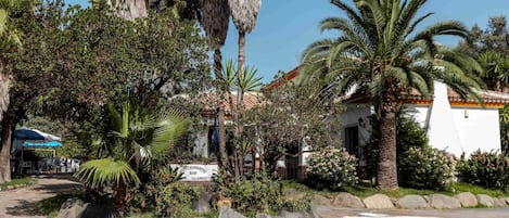 Family Studio, Patio, Mountain View | Property grounds