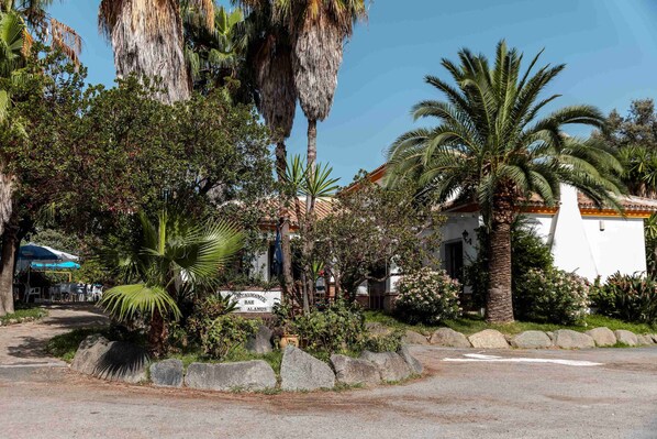 Family Studio, Patio, Mountain View | Property grounds