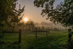Jardines del alojamiento